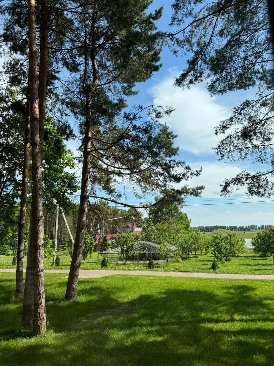 «Гранд Марал», село Липяги, Спасский район — фотография 30 из 93