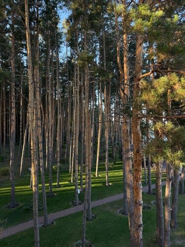 Прогулки по природе